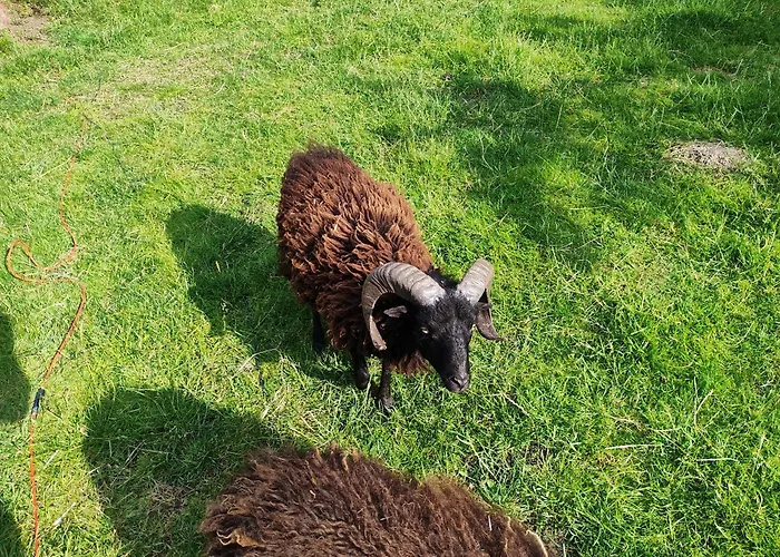 Sessles Waldhaeusschen Dietzhausen